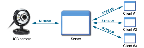 stream ip camera to website